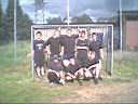 FC laue Leber